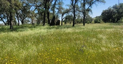 12550-12400 Hogan Dam, Farmington, CA 95230 Photo