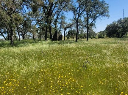 12550-12400 Hogan Dam, Farmington, CA 95230 Photo