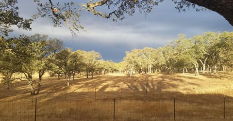 12550-12400 Hogan Dam, Farmington, CA 95230 Photo