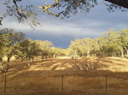 12550-12400 Hogan Dam, Farmington, CA 95230 Photo