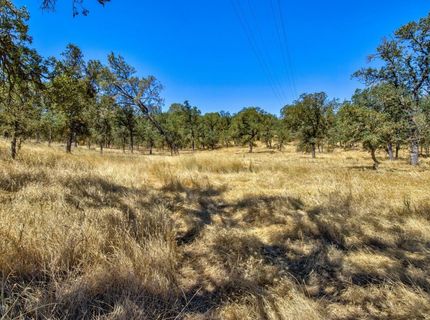 12550-12400 Hogan Dam, Farmington, CA 95230 Photo