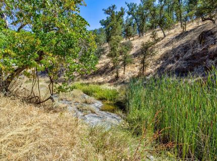 12550-12400 Hogan Dam, Farmington, CA 95230 Photo