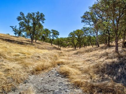 12550-12400 Hogan Dam, Farmington, CA 95230 Photo