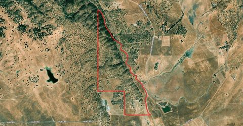 12550-12400 Hogan Dam, Farmington, CA 95230 Photo