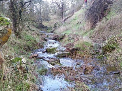 12550-12400 Hogan Dam, Farmington, CA 95230 Photo