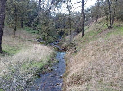 12550-12400 Hogan Dam, Farmington, CA 95230 Photo