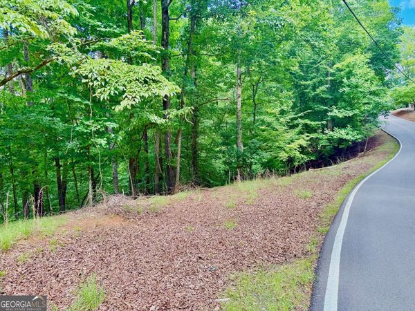 2246 Palisade Drive, Ellijay, GA 30540