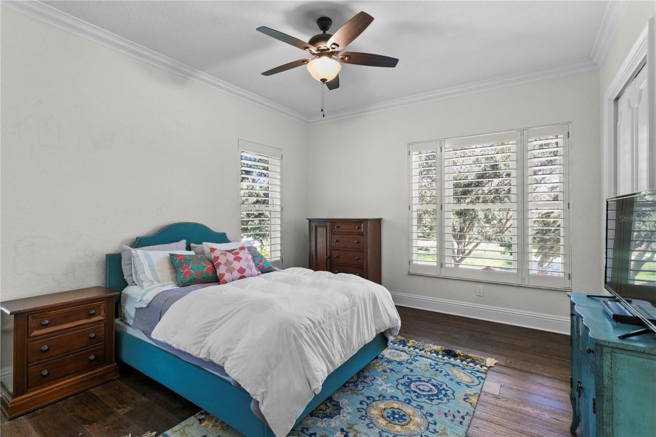 17027 Candeleda De Avila, Tampa, FL 33613 Photo
