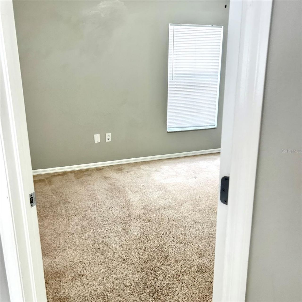 504 Maple Pointe Drive, Seffner, FL 33584 Photo