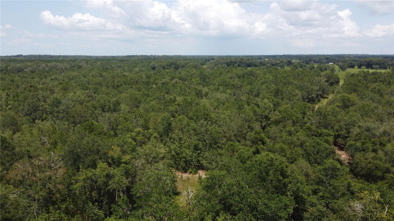 138th Street, Live Oak, FL 32060 Photo