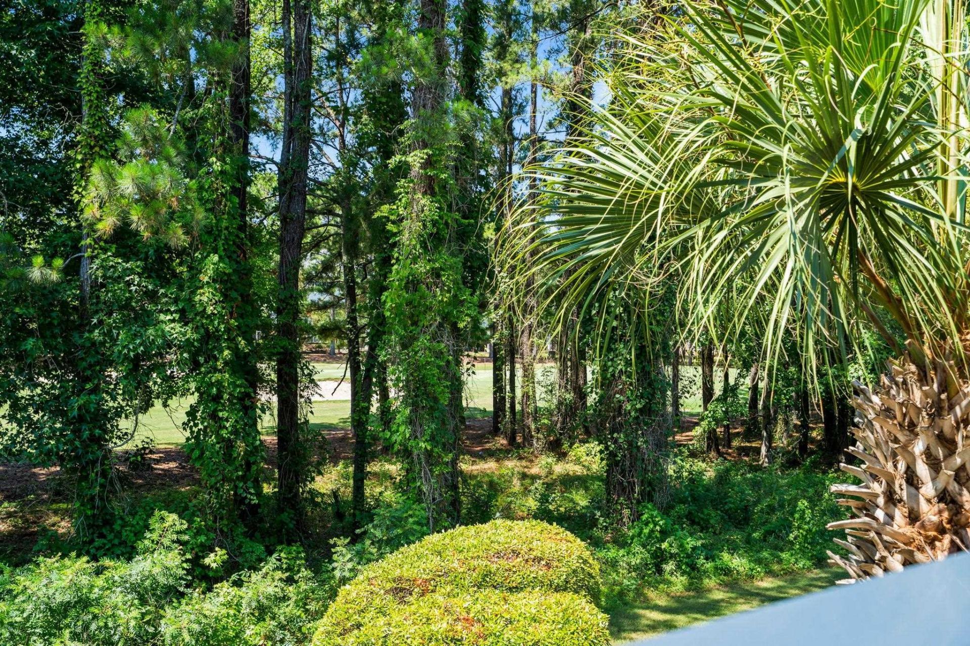 5825 Catalina Dr.  Photo 30