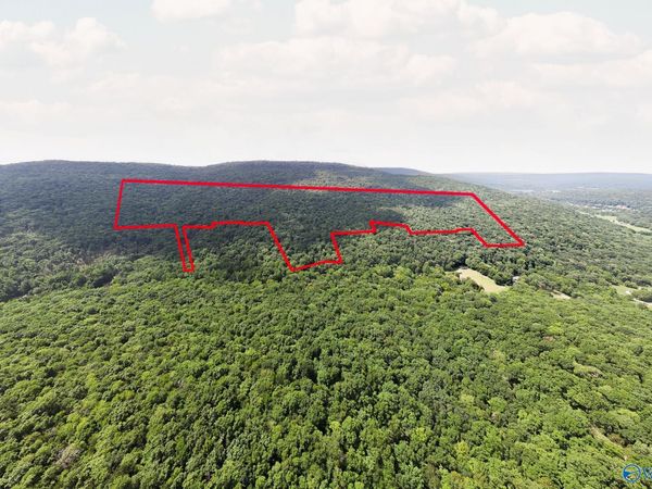 70.45 acres Upper Hurricane Road, New Market, AL 35761