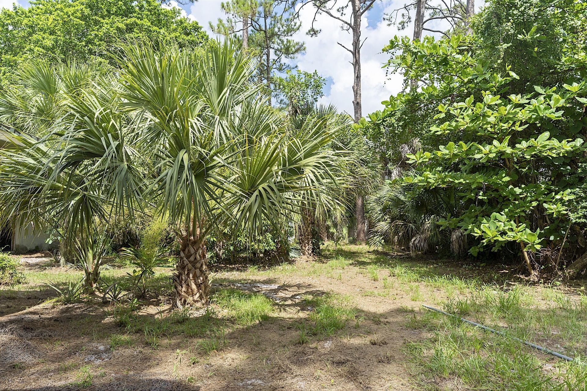 799 Ivory Lane, Haverhill, FL 33415 Photo