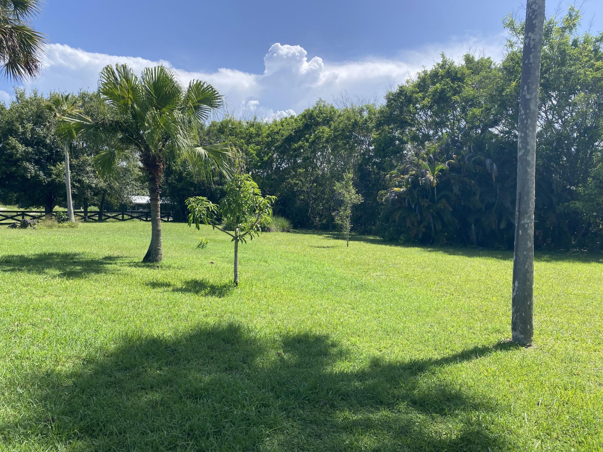 9905 159th Court N, Jupiter Farms, FL 33478 Photo