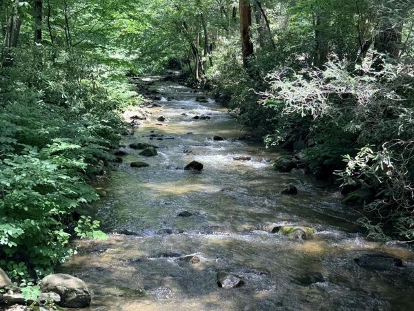 0 Gulf Road, Hartford, TN 37753
