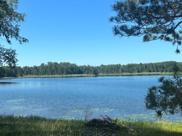 37363 Amen Lake Road, Deer River, MN 56636