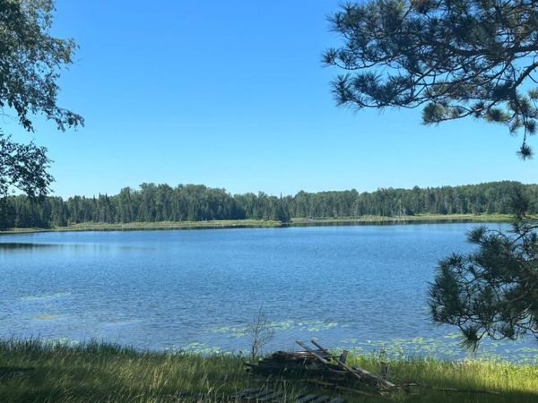 37363 Amen Lake Road, Deer River, MN 56636