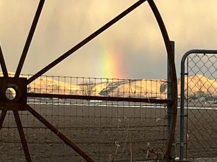 834 W Bridge Street, Yerington, NV 89447 Photo