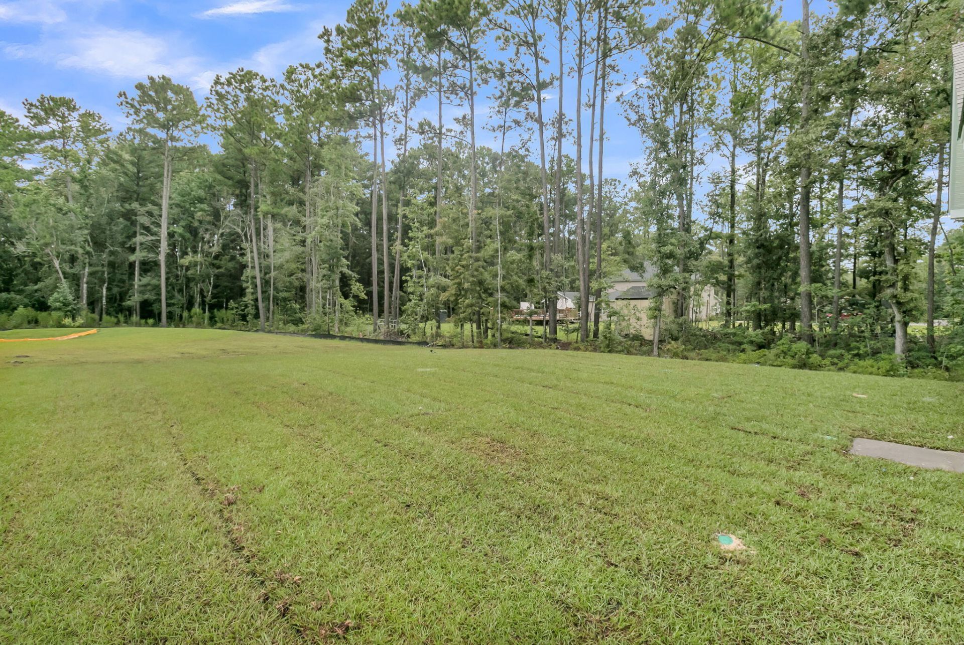 303 Cherry Orchard Drive Photo 5
