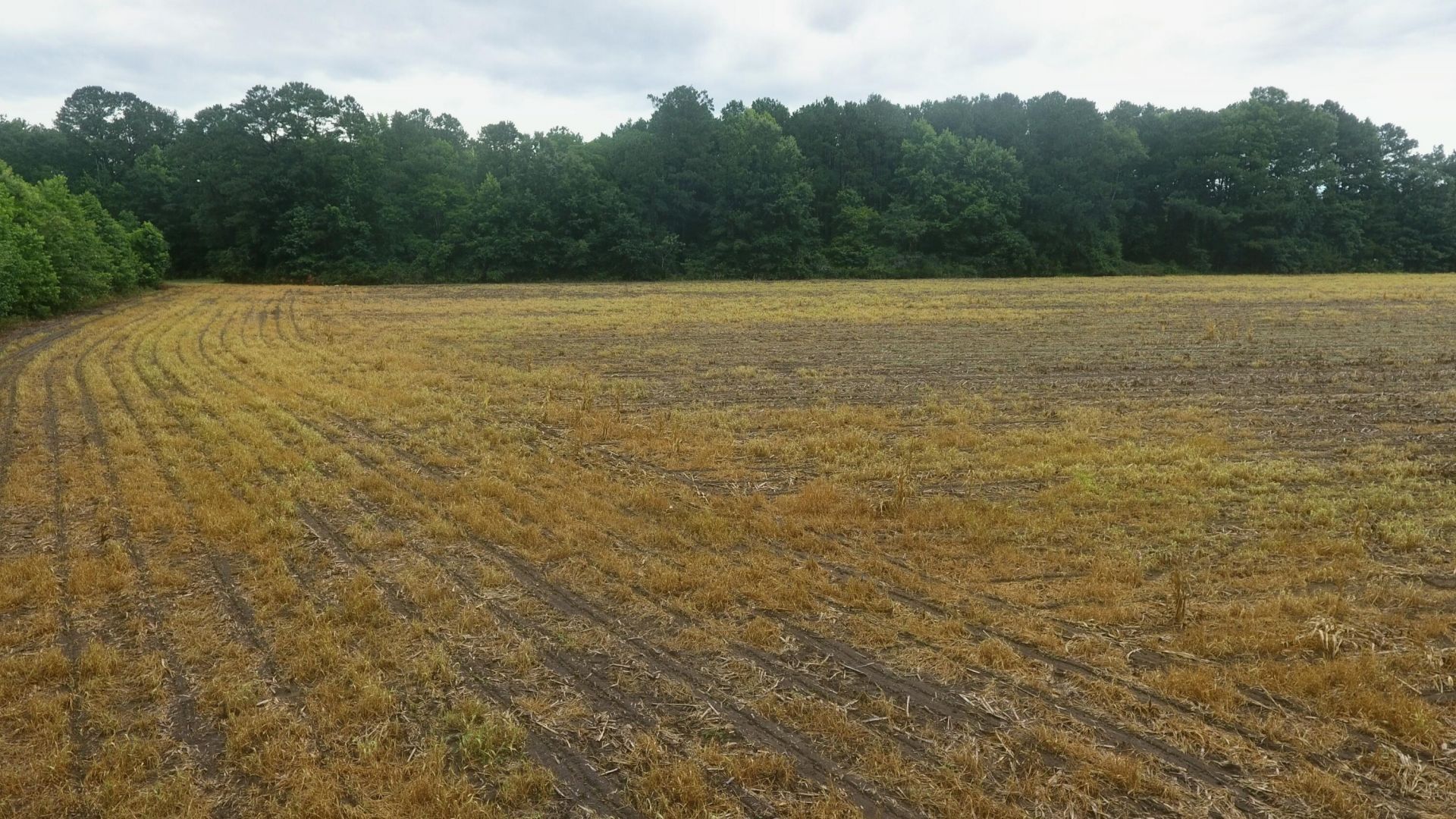 0 Ladson Lane Photo 15