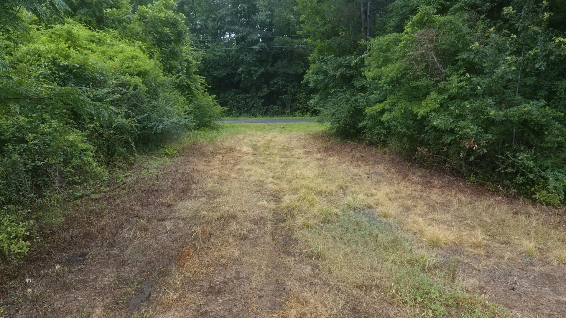 0 Ladson Lane Photo 18