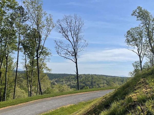 LT118 S Jakes Landing Way, Ellijay, GA 30540