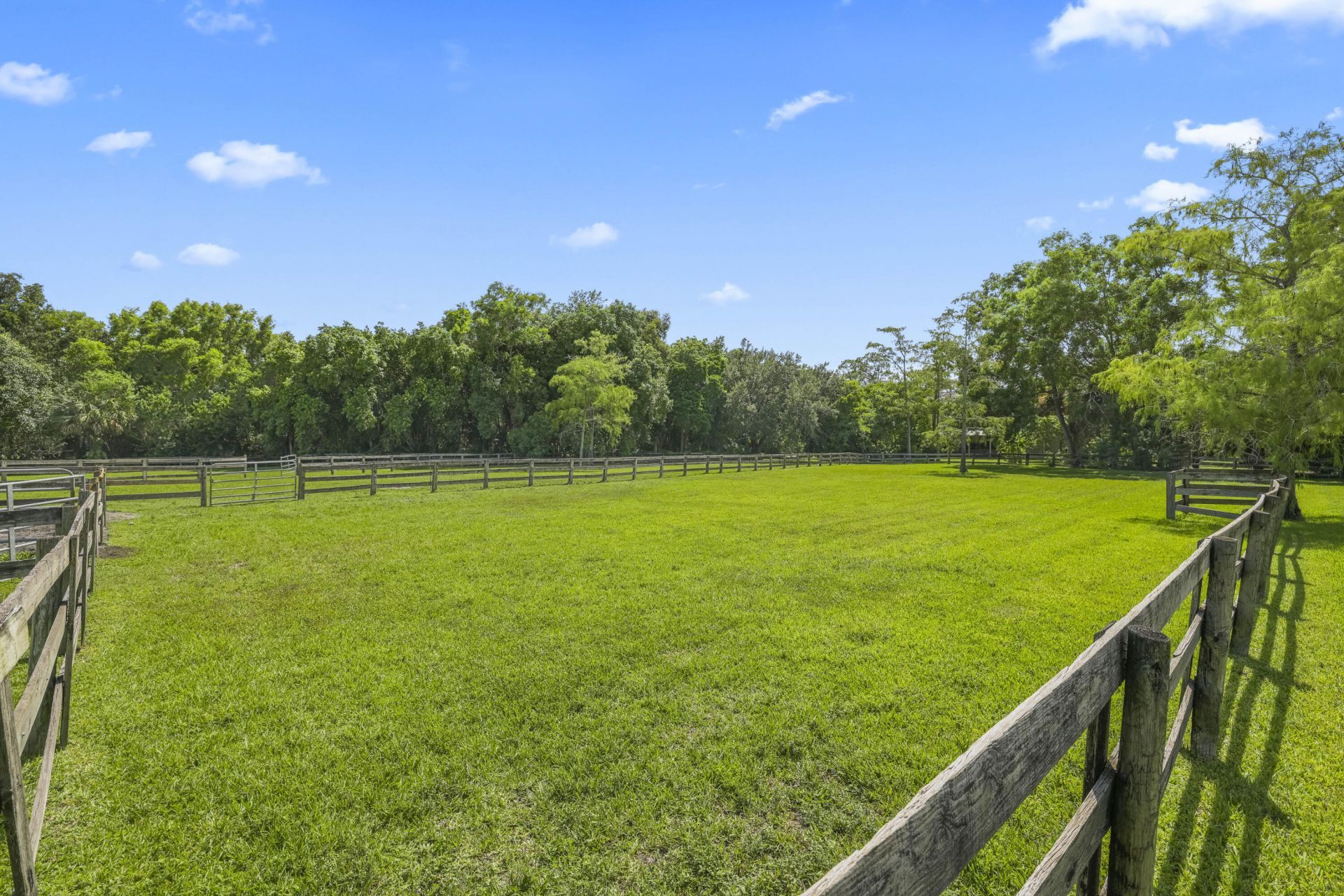 790 E Rambling Drive, Wellington, FL 33414 Photo