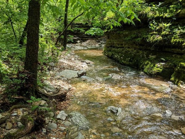 000 Coyote Ridge Road , Cassville, MO 65625