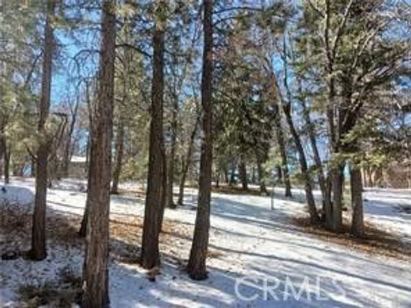 0 Columbine, Big Bear City, CA 92314