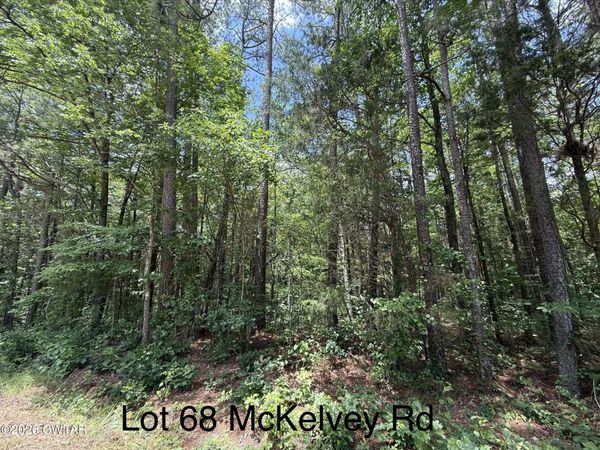0 McKelvey Road , Camden, TN 38320