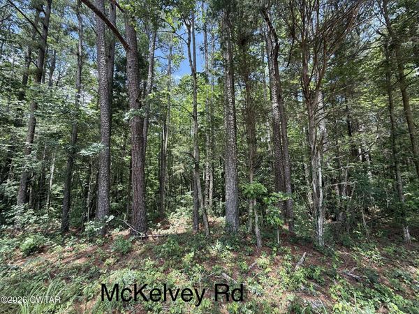 0 McKelvey Road , Camden, TN 38320