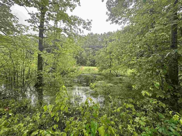 Parcel 1 Tobias Road, Unit 6.67 Acres, Elmira, MI 49730