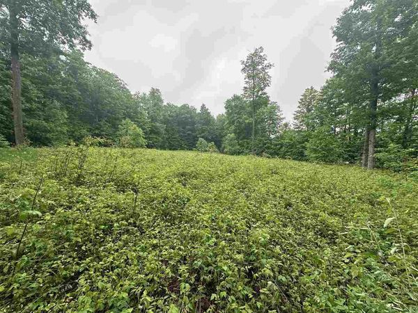 Parcel 2 Tobias Road, Unit 6.67 Acres, Elmira, MI 49730