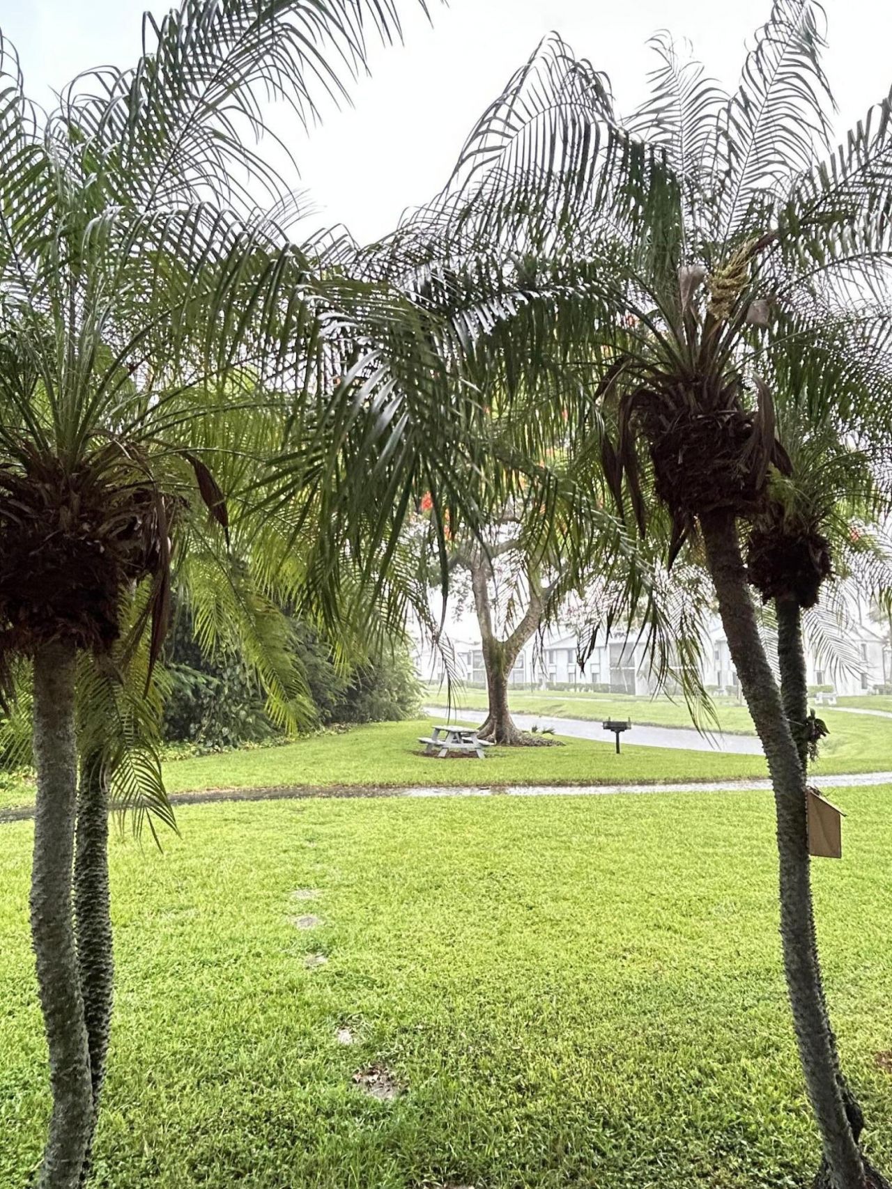 1007 Green Pine Boulevard, Unit F3, West Palm Beach, FL 33409 Photo