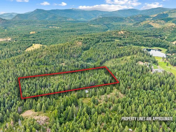 432X Bussard Lake Rd, Loon Lake, WA 99148