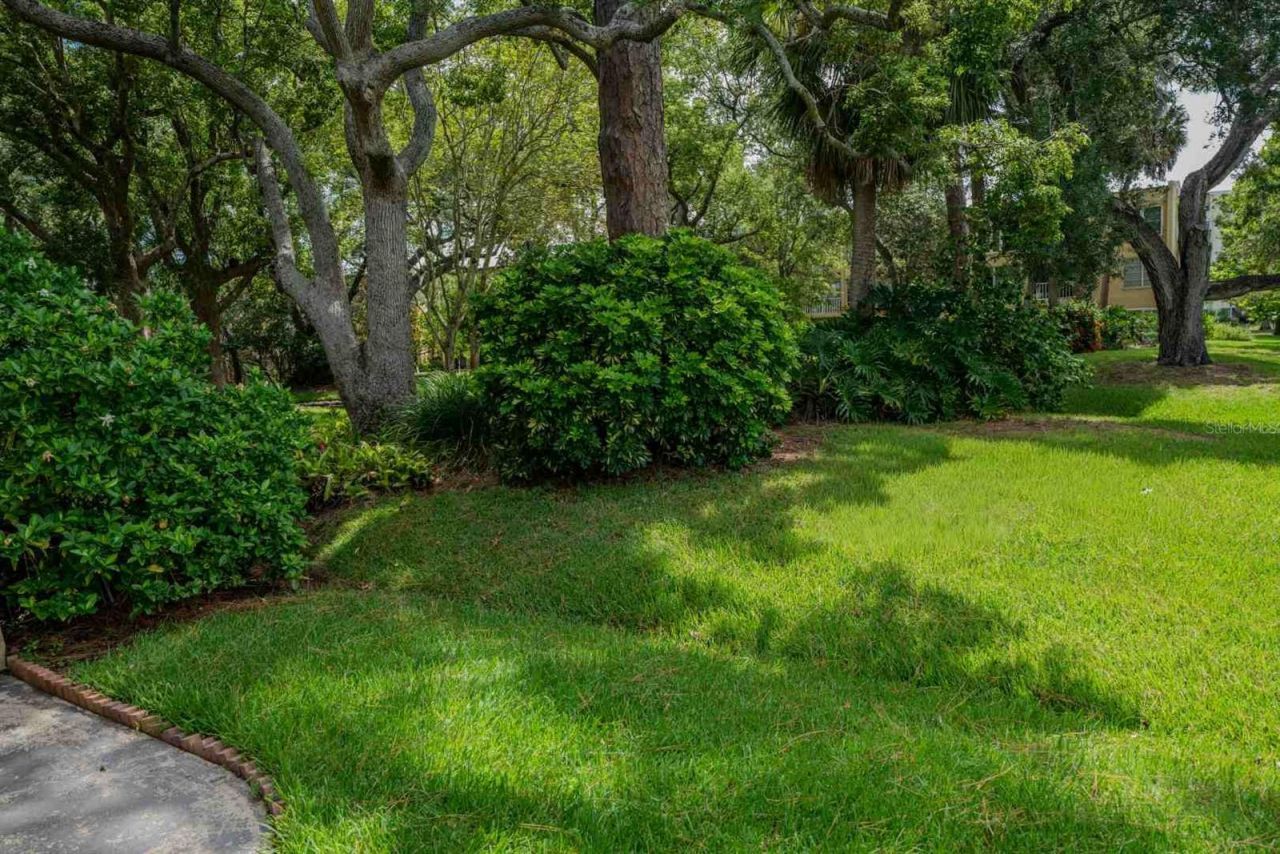 225 Country Club Drive , Unit D142, Largo, FL 33771 Photo