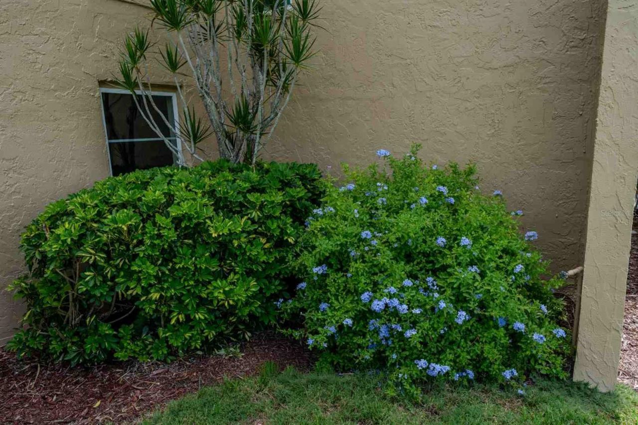 225 Country Club Drive , Unit D142, Largo, FL 33771 Photo