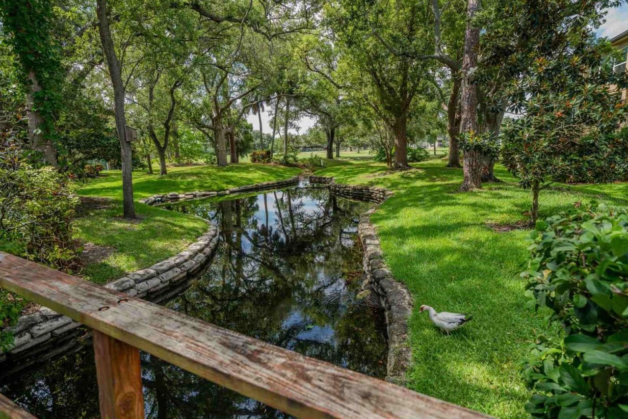 225 Country Club Drive , Unit D142, Largo, FL 33771 Photo