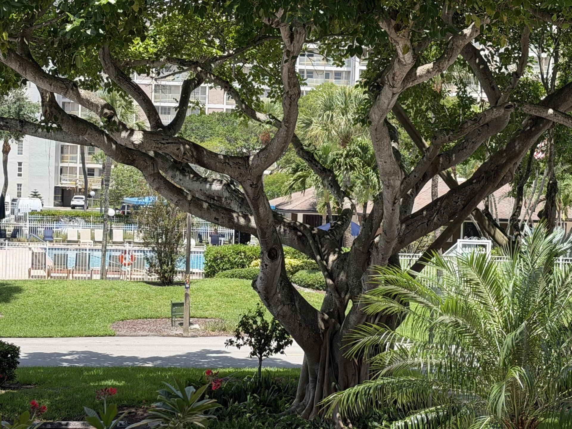 2650 S Course Drive, Unit 203, Pompano Beach, FL 33069 Photo