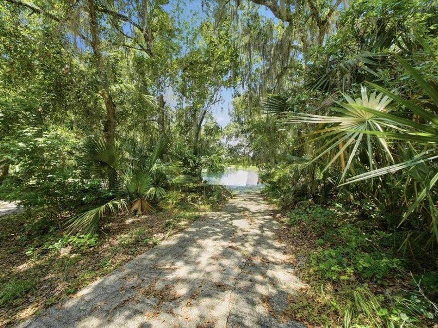 Property Image 90