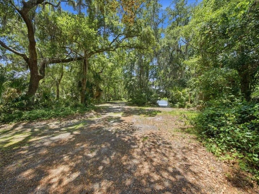 Property Image 91