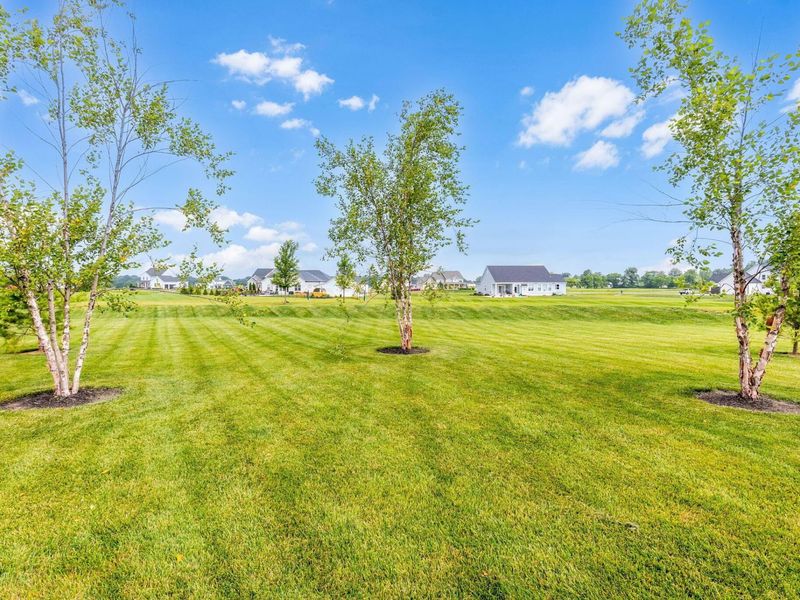 12230 Andrews Drive, Plain City, OH 43064 Photo 60