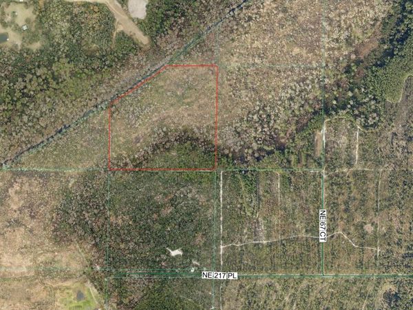 0 NE 217TH PL , CITRA, FL 32113