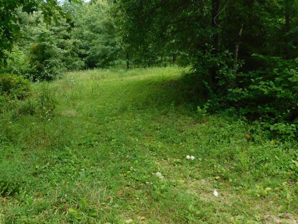 4286 SE 871 Road , Collins, MO 64738