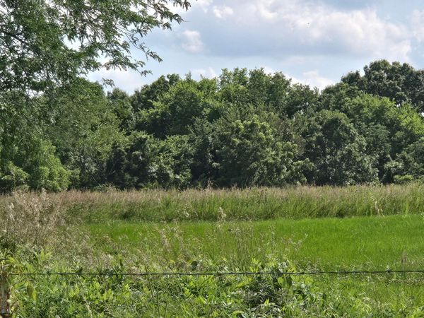 000 State Highway 65, Louisburg, MO 65685