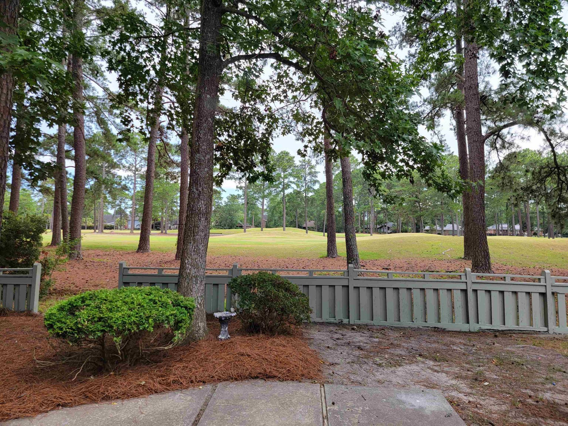110 Berry Tree Ln. Photo 20