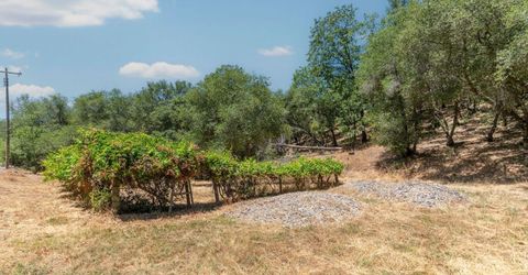 13333 Pioneer Dr, Jackson, CA 95642 Photo