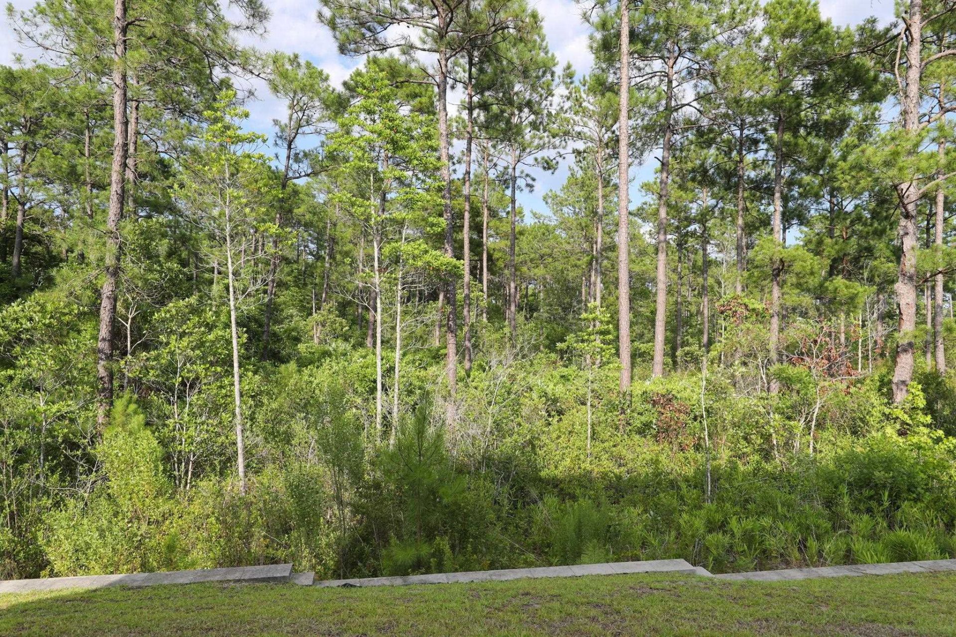 2618 Muhly Ct. Photo 25