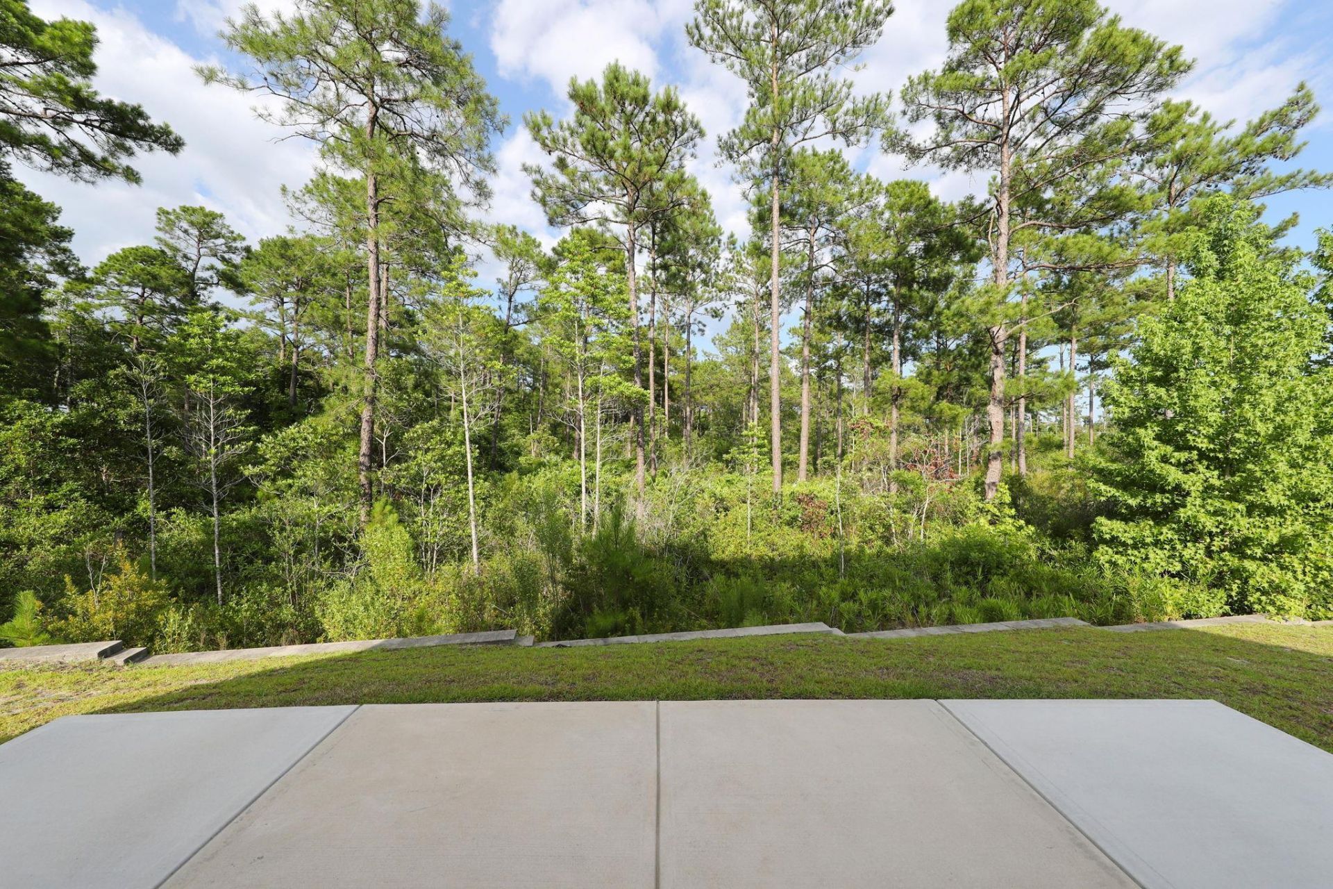 2618 Muhly Ct. Photo 56