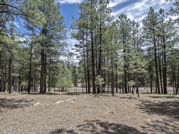 2132 W Pine Valley Road, Happy Jack, AZ 86024